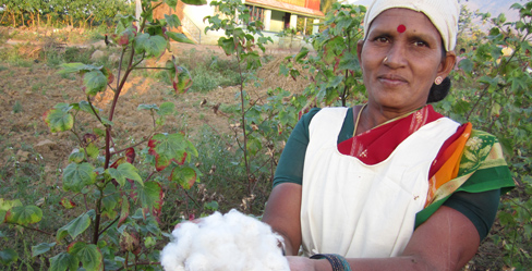 Bomullsodlare Tamil Nadu i Indien